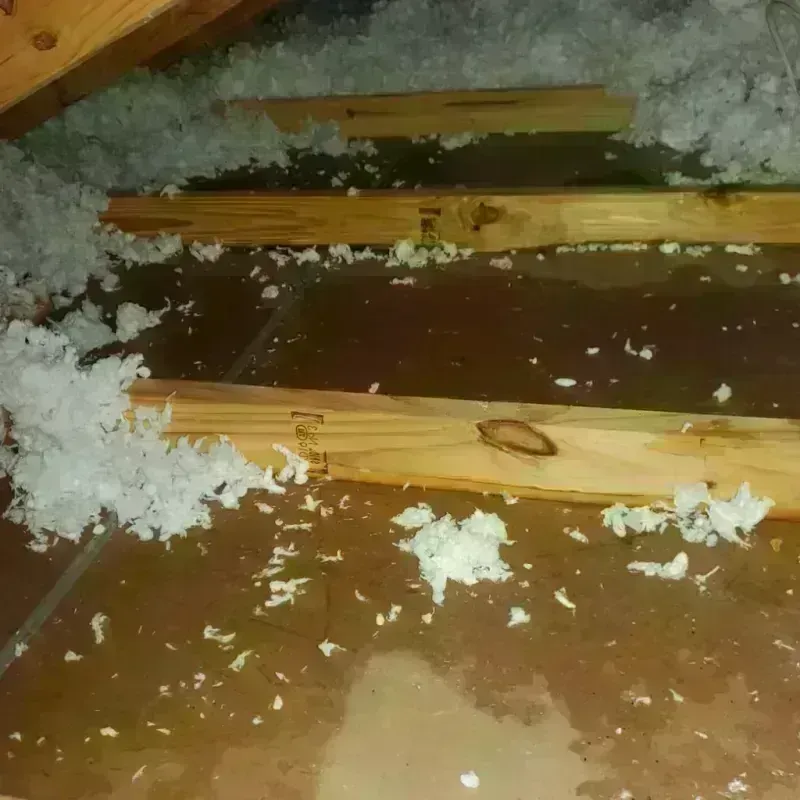 Attic Water Damage in Northridge, CA